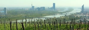 Settembre a Vienna: Principali eventi, punti salienti locali e divertimento per la famiglia