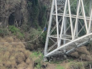 Shearwater Bridge Slide Experience