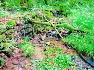 Skadar Lake Hobbiton