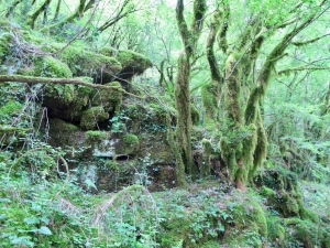 Skadar Lake Hobbiton