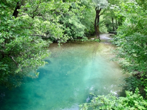 Skadar Lake Secret Bay