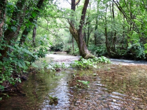 Skadar Lake Secret Bay