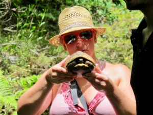 Skadar Lake Tortoise