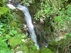 Skadar Lake Waterfall