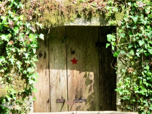 Skadar Lake Details in the Woods