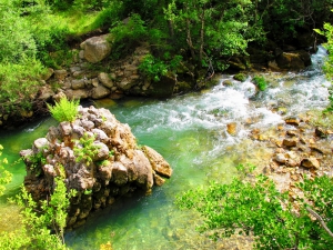 Skadar Lake River 