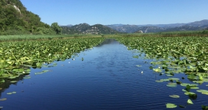 Summer 2019 in Montenegro - Skadar Lake Cruise with Zabes Holidays