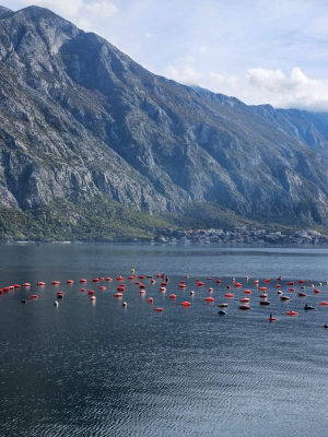 TEAMFORADRIS Project: Montenegro Actively Contributes to the Preservation of the Adriatic Sea