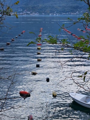 TEAMFORADRIS Project: Montenegro Actively Contributes to the Preservation of the Adriatic Sea