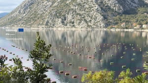 TEAMFORADRIS Project: Montenegro Actively Contributes to the Preservation of the Adriatic Sea
