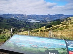 Ten Ways to Enjoy Akaroa and Banks Peninsula