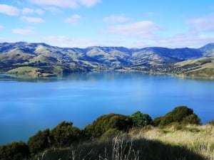 Ten Ways to Enjoy Akaroa and Banks Peninsula