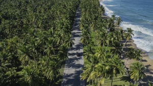 The Best Beaches of the North Coast: Road Trip with a Rental Car from Las Terrenas to Cabarete