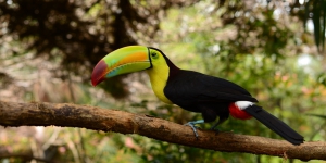 The best destinations to visit in Belize