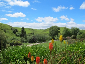The Drive From Wellington To Whanganui