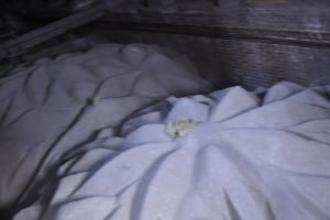 St. Mary's Church overt the vault