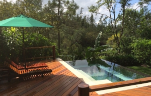 The most important reef in America leaves the list of World Heritage in danger of Unesco