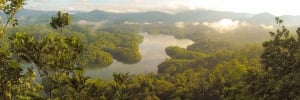 The Peruvian Amazon Rainforest