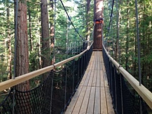 The Rotorua Redwoods Treewalk