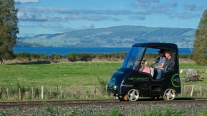 The Top 10 Elderly Activities In Rotorua