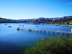 The Wild Side of Akaroa