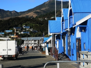 The Wild Side of Akaroa