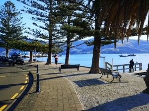 The Wild Side of Akaroa