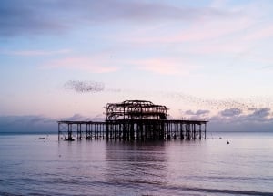 Things to do in Brighton when it's raining