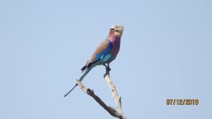 Top 10 Attractions in Mozambique