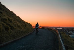 Top 10 Auckland Bike Trails