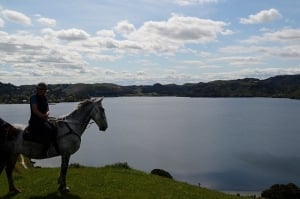 Horse Trekking Lake Okareka