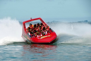 Top 7 Auckland Adrenaline Activities