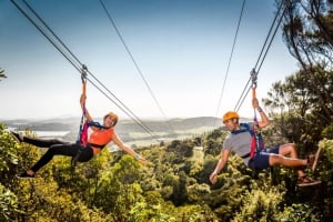 Top 7 Auckland Adrenaline Activities