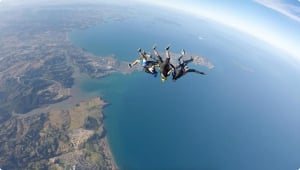 Top 7 Auckland Adrenaline Activities