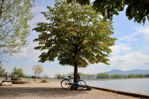 Krupac Lake in Niksic