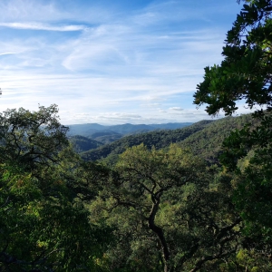 Vendici Properties Local Spotlight: Spot na Serra Café