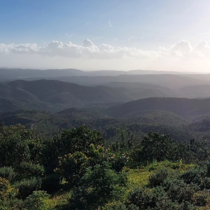 Vendici Properties Local Spotlight: Spot na Serra Café