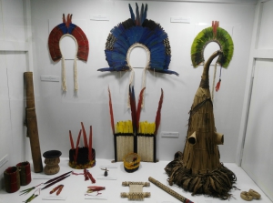 What to do in iquitos. Guide to see the cot of the amazon