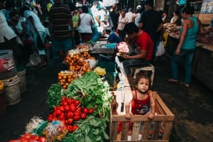 What to do in iquitos. Guide to see the cot of the amazon