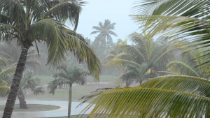 When is the best time to travel to Cuba?