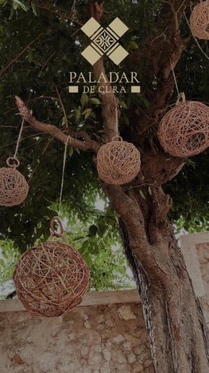 Where to eat Yucatecan food in Valladolid