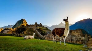 With so much to see and do, a trip to Peru could last a lifetime, but we select the best to make it round.