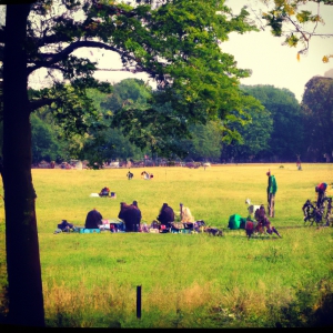 Vondelpark Picnic