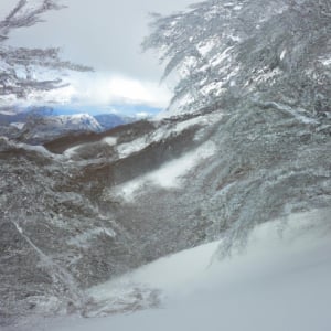 Winter Wildlife Watching in Central Balkan National Park