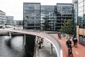 3-hour Essence of Copenhagen E-bike Tour