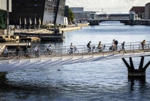 3-hour Essence of Copenhagen E-bike Tour