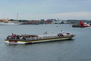Visite privée de Copenhague à pied (3 heures)