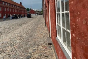 Visite privée de Copenhague à pied (3 heures)