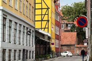 Visite privée de Copenhague à pied (3 heures)