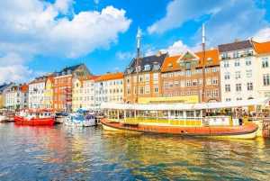 Palacio de Amalienborg, Nyhavn, Frederiks Kirke, Visita a Copenhague